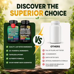 Ascendence 20-in-1 Supplement Bundle