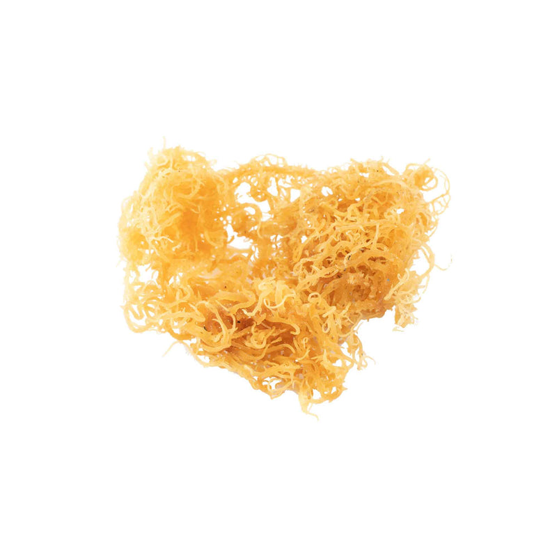 Sea Moss