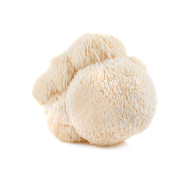 Lion's Mane
